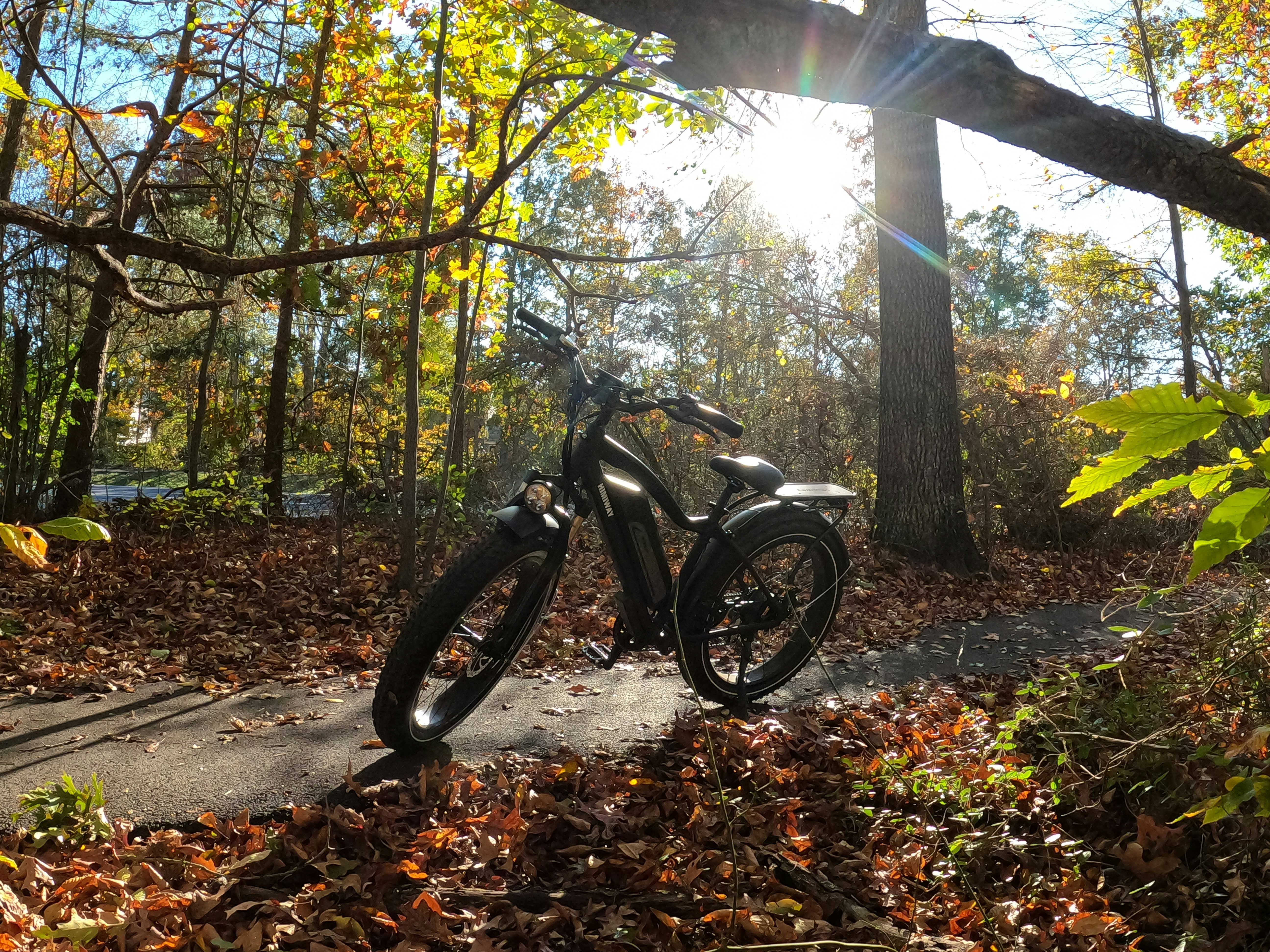 black motorcycle parked near trees during daytime